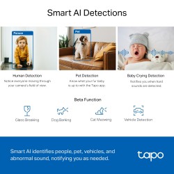 TP-link camara Wi-Fi vigilancia 360º - Tapo C220