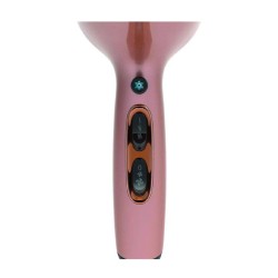 Remington secadora de cabello c/terapia de keratina y aceite de argan  AC8820 (110)