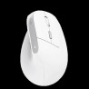 Trust mouse vertical ergonomico inalambrico Bayo color blanco recargable - 25398