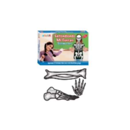 Entendiendo mi Cuerpo "Sistema Óseo"